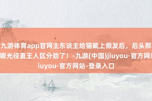 九游体育app官网主东谈主给猫戴上假发后，后头那只猫看它的眼光径直王人区分劲了！-九游(中国)jiuyou·官方网站-登录入口